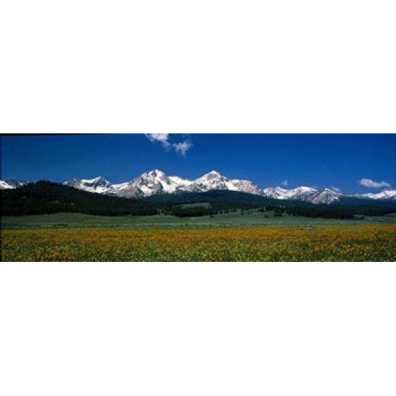 Sawtooth Mtns Range Stanley ID USA Canvas Art - Panoramic Images (18 x 6)