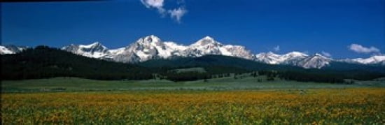 Sawtooth Mtns Range Stanley ID USA Canvas Art - Panoramic Images (36 x 12)