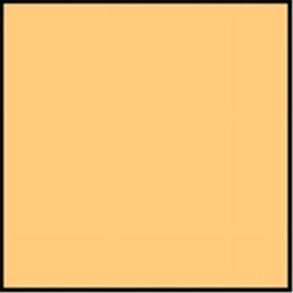 Sax 12 x 18 in. Heavy-Weight Art Paper - 100 Percent Sulphite- Peach- Pack 50