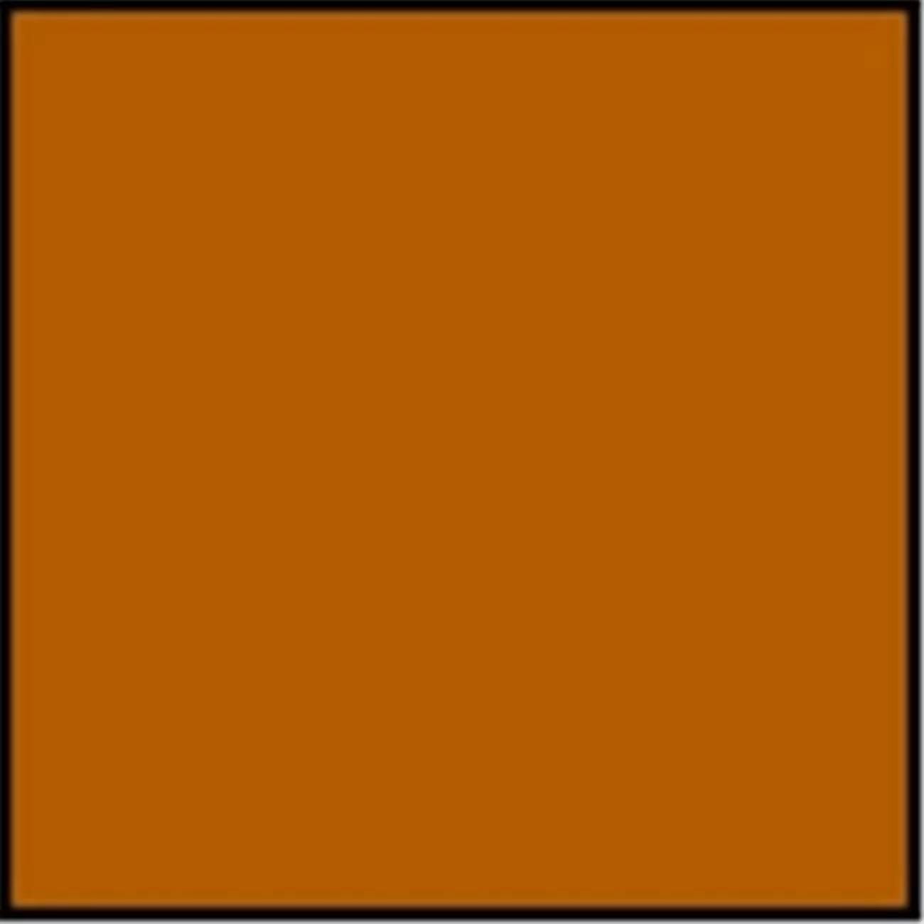 Sax 12 x 18 in. Heavy-Weight Art Paper - Light Brown - Pack 50