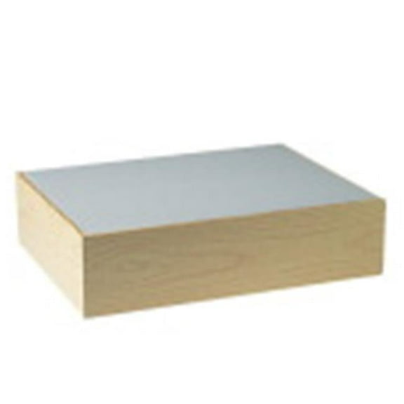 Sax Light-Weight Network Light Box with on & Off Switch, 12 x 16 in.