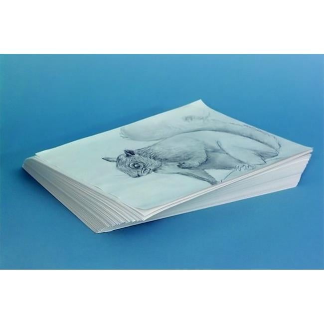 Sax Plain Newsprint Newspaper, 30 Lbs. - 18 x 24 In. - White, Pack Of 500