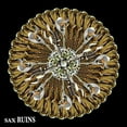 thumbnail image 1 of Sax Ruins - Blimmguass - Music & Performance - Vinyl, 1 of 1