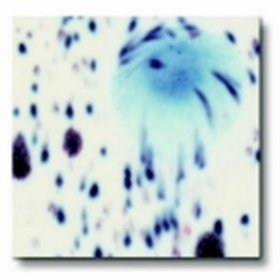 Sax True Flow 000195 Crystal Magic Glaze- Peacock Eye