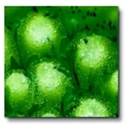 Sax True Flow 000237 Crystal Magic Glaze- Spotted Kiwi