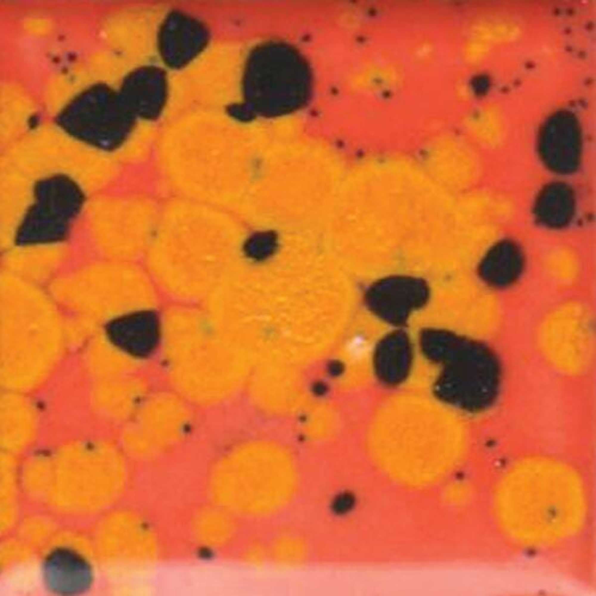Sax True Flow Colorburst Glaze, Spicy Orange, 1 Pint - Walmart.com