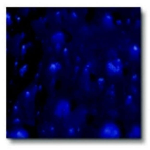 Sax True Flow Lead-Free Non-Toxic Crystal Magic Glaze, 1 Pint, Celestial Blue