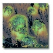 Mayco Crystalite Glaze - Cappuccino Mint, Pint