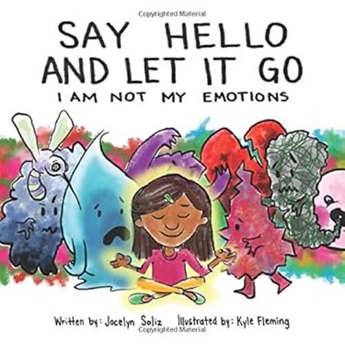 Pre-Owned Say Hello and Let It Go (Paperback) 9781734684438