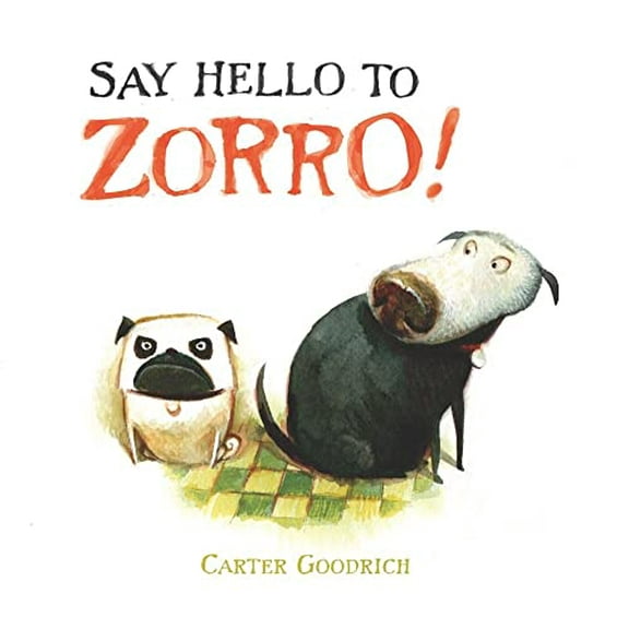 Pre-Owned Say Hello to Zorro! (Hardcover) 1416938931 9781416938934