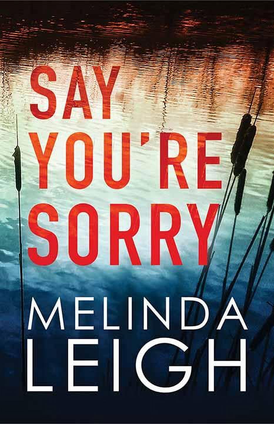Say You're Sorry (Hardcover) - image 1 of 1