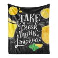 thumbnail image 1 of Saying Soft Flannel Fleece Throw Blanket, Take a Break Drink Lemonade in Cursive Funky Text, Cozy Plush for Indoor and Outdoor Use, 70" x 90", Grey Yellow, by Ambesonne, 1 of 5
