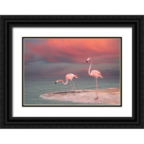 Sazonov, Vladmir 18x14 Black Ornate Wood Framed with Double Matting Museum Art Print Titled - Pink Flamingos