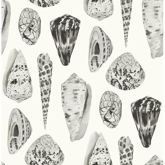 Scalamandre Graphite Coquina Self Adhesive Wallpaper