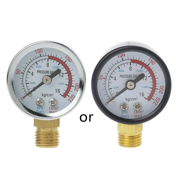 Scale Economical All Purpose Pressure Gauge with Brass Internals 0-220 /
