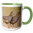 thumbnail image 1 of 3drose, Scaled Quail Bird, Brush Country of South Texas - Us44 Ldi0077 - Larry Ditto, 11oz Two-tone Green Mug, 1 of 6