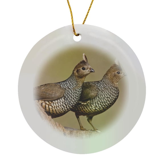 3drose, Scaled Quail Bird, Brush Country of South Texas - Us44 Ldi0077 - Larry Ditto, Circle Porcelain Ornament
