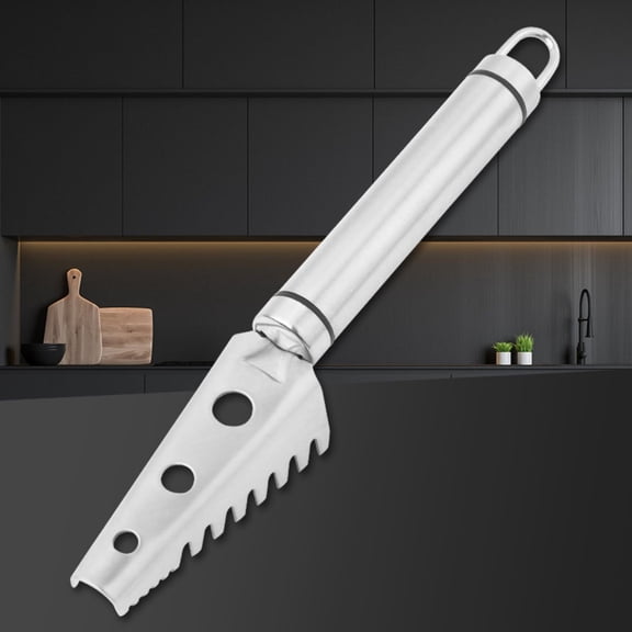 Scaler 304 Stainless Steel Manual Scraper Fish Killing Tool Household Planer Artifact for Effortless Fish Scaling,Silver(1PCS) JASKFLY