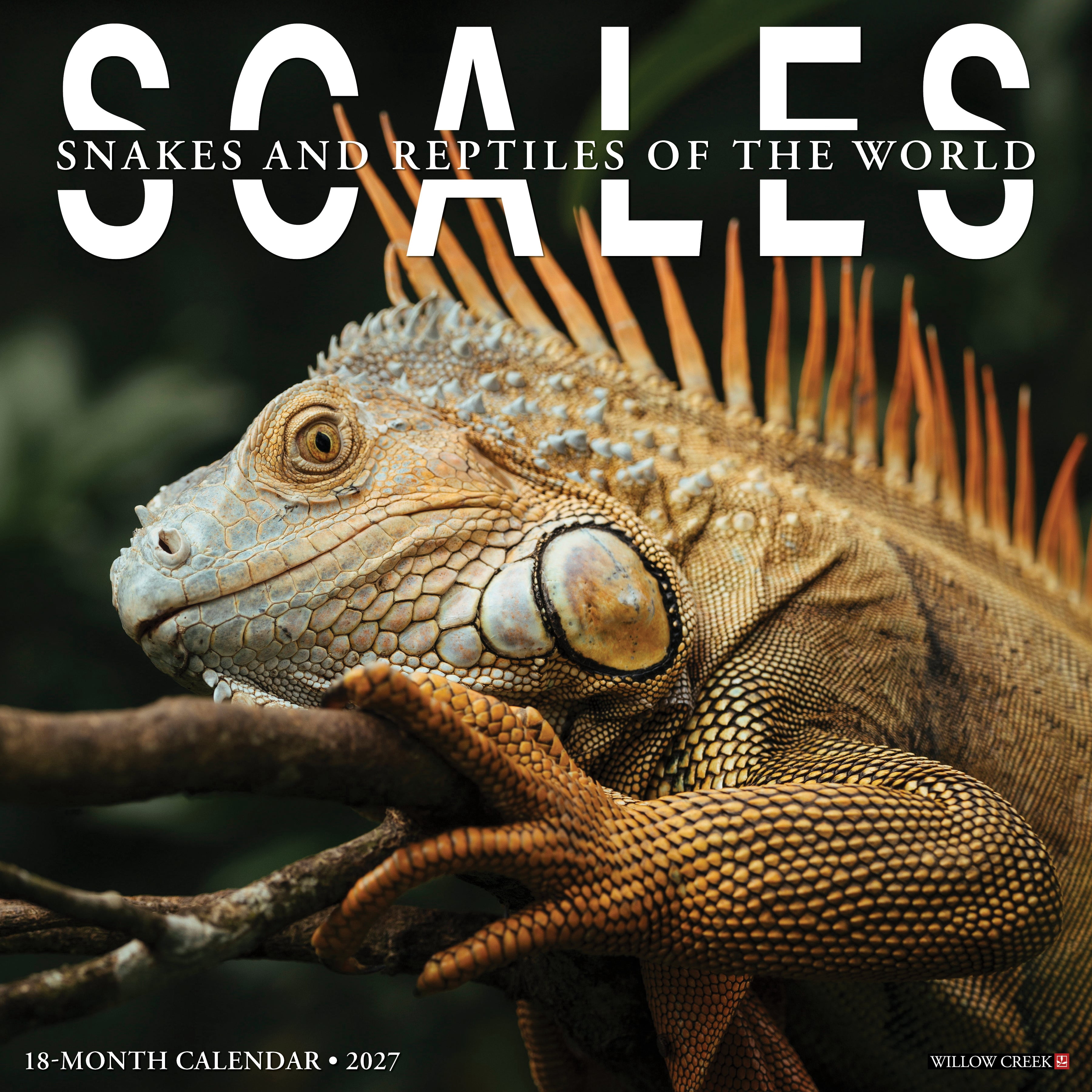 Willow Creek Press, Scales 2027 Wall Calendar