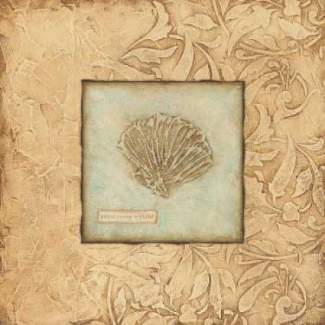 Scallop Canvas Art - Stephanie Marrott (24 x 24)
