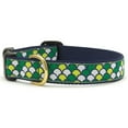 thumbnail image 1 of Scalloped Dog Collar - X-Small, 1 of 1