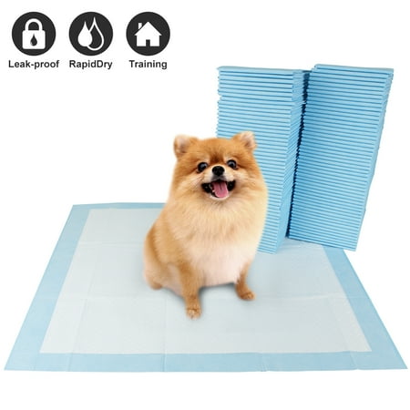 Scamper Pet Dog and Puppy Pee Training Pads, Extra Large 28" x 34" - 40 Count