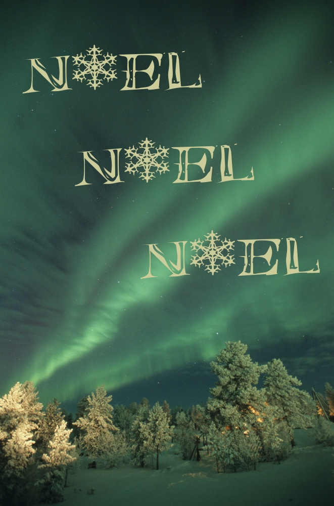Scandinavia Finland Lapland Ivalo The Aurora borealis Canvas Art - Daisy Gilardini  Danita Delimont (11 x 17)