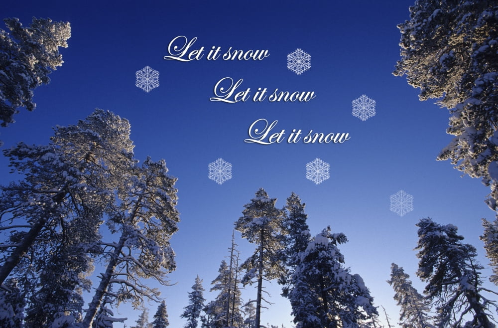Scandinavia Finland Lapland Kakslauttanen Snow covered pine trees Canvas Art - Daisy Gilardini Danita Delimont (36 x 22)