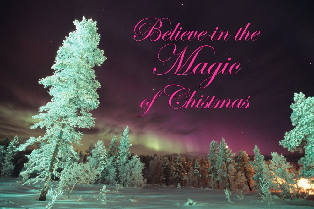 Scandinavia Finland Lapland Kakslauttanen The Aurora borealis Canvas Art - Daisy Gilardini Danita Delimont (18 x 12)