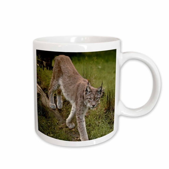 3drose, Scandinavia, Finland. Lynx Lynx, European Lynx Walking in Forest., 11oz Mug