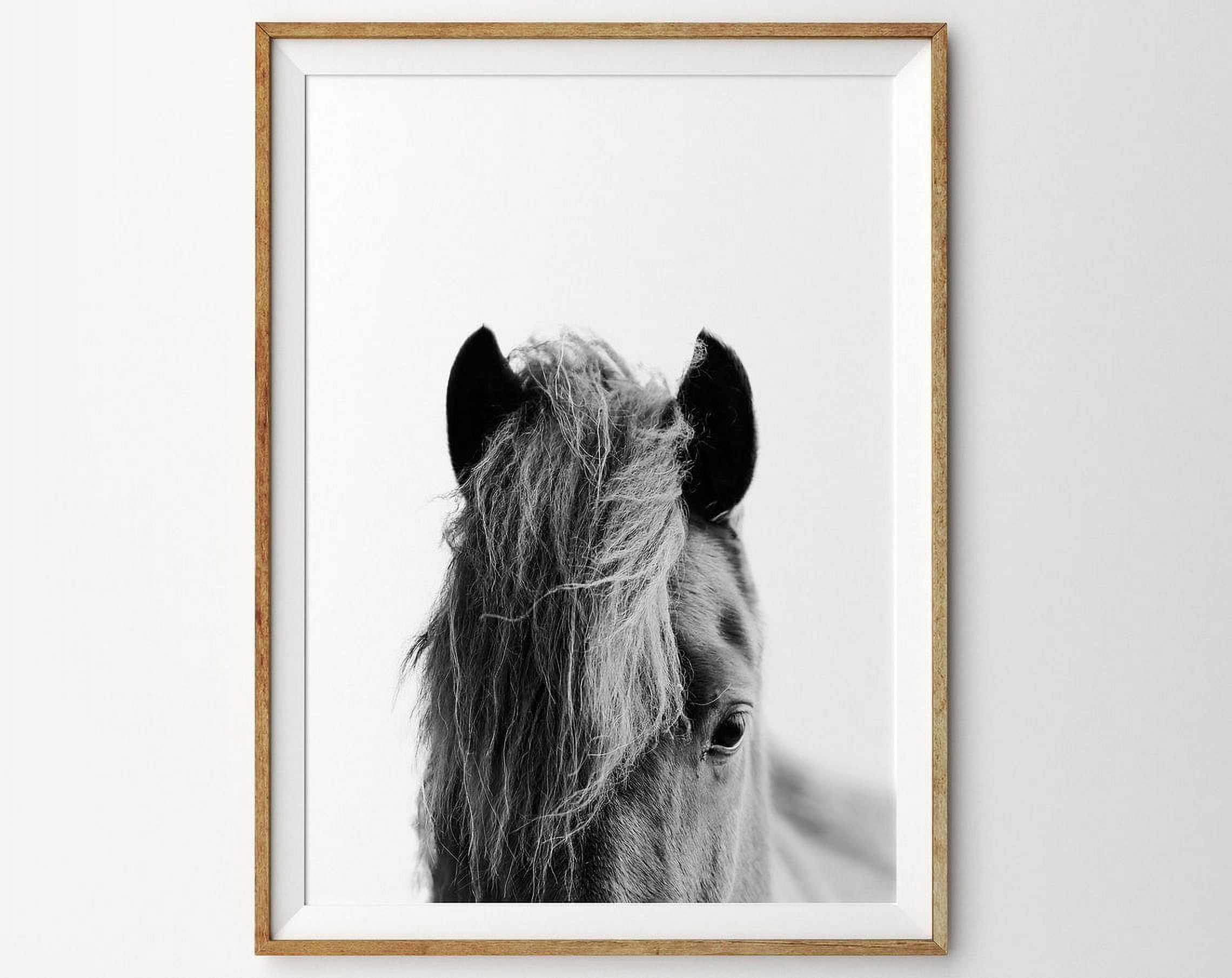 Scandinavian Horse Black And White Close Up Horse Photo Print Art ...