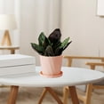 thumbnail image 1 of Scandinavian Style Resin Green Plant Flower Pots with Saucer - Thickened Long Lasting Plastic Imitation Ceramic Planters in Multiple Sizes with Drainage Holes, 1 of 6