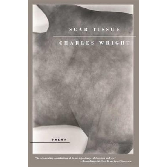 Pre-Owned Scar Tissue (Paperback) 0374530831 9780374530839