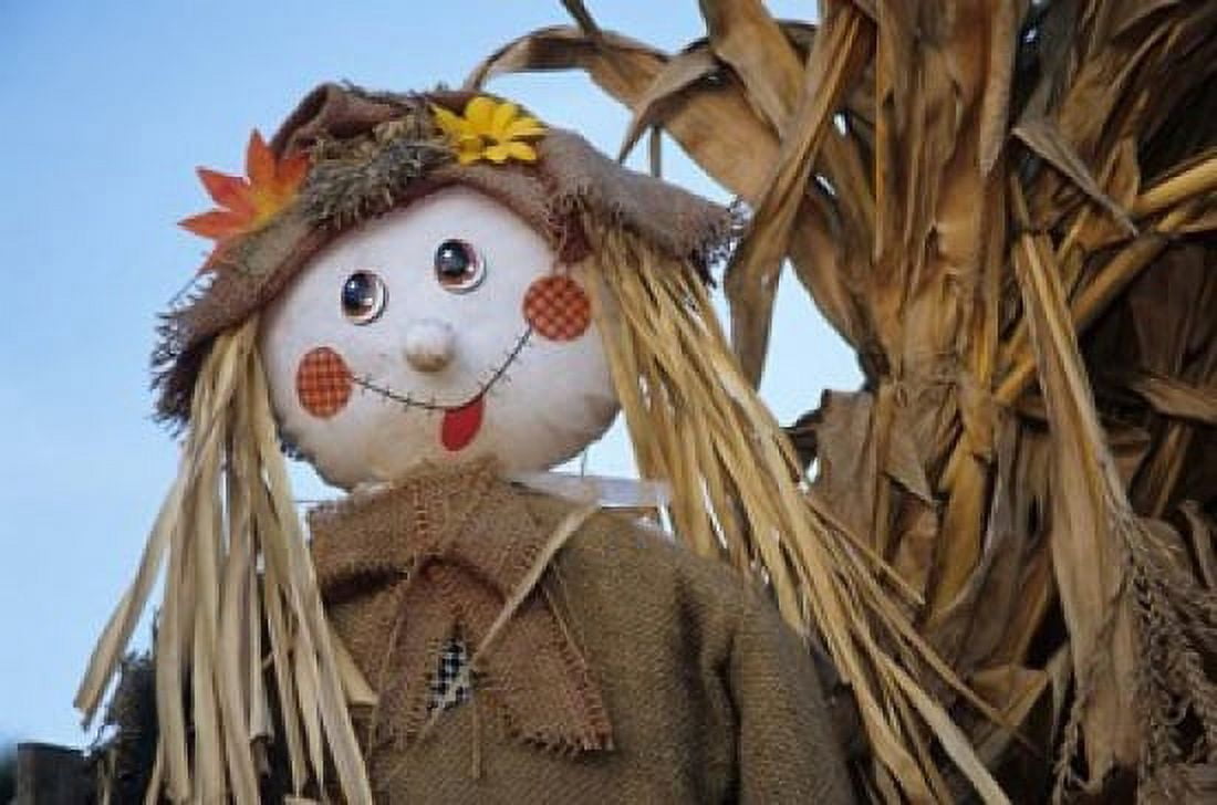 Scarecrow and Dead Corn Husks Carnation Washington Canvas Art - John & Lisa Merrill DanitaDelimont (35 x 24)