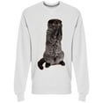 thumbnail image 1 of Scared Cat W/Legs On His Face Sweatshirt Men -Image by Shutterstock Men Sweatshirt, Male Large, 1 of 2