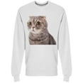 thumbnail image 1 of Scared Cat With Big Eyes Sweatshirt Men -Image by Shutterstock Men Sweatshirt, Male Small, 1 of 2