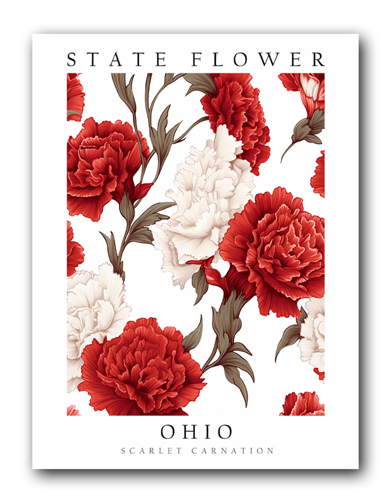 Scarlet Carnation, Ohio State Flower, Poster Print, Wall Décor