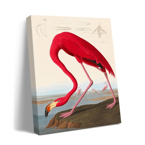 Scarlet Ibis Bird Canvas Wall Art, Tropical Wildlife Illustration Print Reproduction
