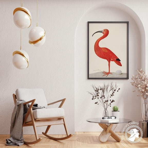 Scarlet Ibis Bird Poster, Vintage Ornithology Art, Coastal Beach House Wall Decor UNFRAMED Poster, 8x12