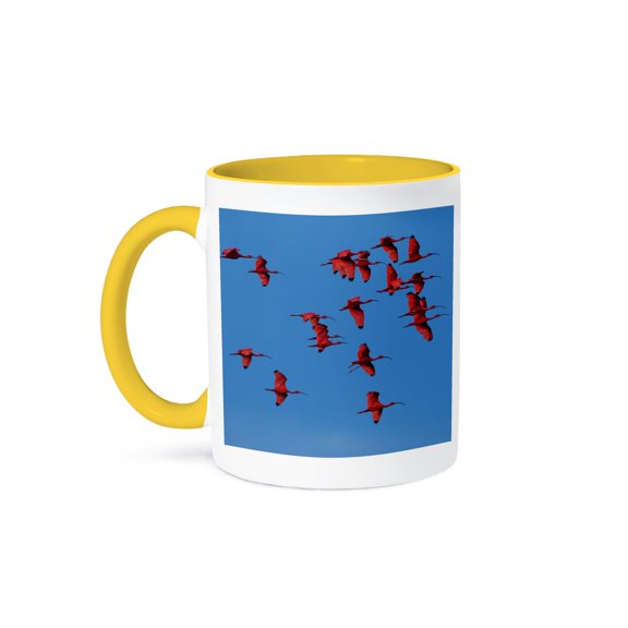3drose, Scarlet Ibis, Para State, Brazil, 11oz Two-tone Yellow Mug