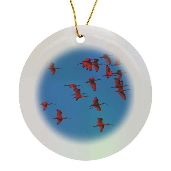 3drose, Scarlet Ibis, Para State, Brazil, Circle Porcelain Ornament