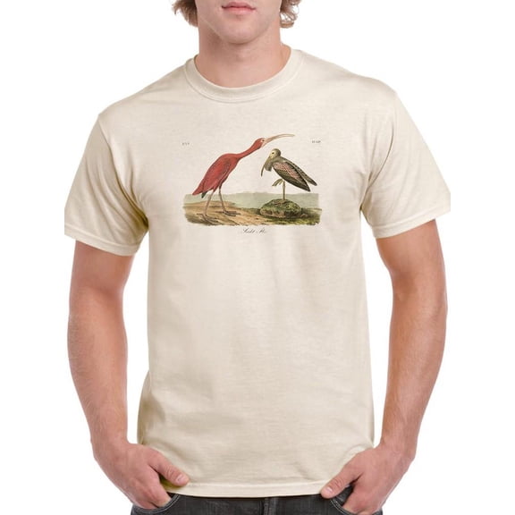 Scarlet Ibis T-Shirt Men -John James Audubon Designs, Male x-Large