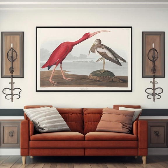 Scarlet Ibis by John James Audubon Birds of America Poster for Home Wall Decor