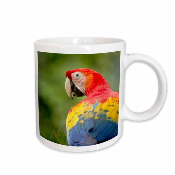 3drose, Scarlet Macaw Bird, Rainforest, Costa Rica - Sa22 Rsp0031 - Rob Sheppard, 11oz Mug