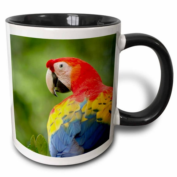 3drose, Scarlet Macaw Bird, Rainforest, Costa Rica - Sa22 Rsp0031 - Rob Sheppard, 11oz Two-tone Black Mug