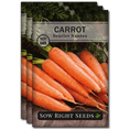 thumbnail image 1 of Scarlet Nantes Carrot Seeds - Non GMO Heirloom Varieties for your Home Vegetable Garden - 3 Pack, 1 of 5