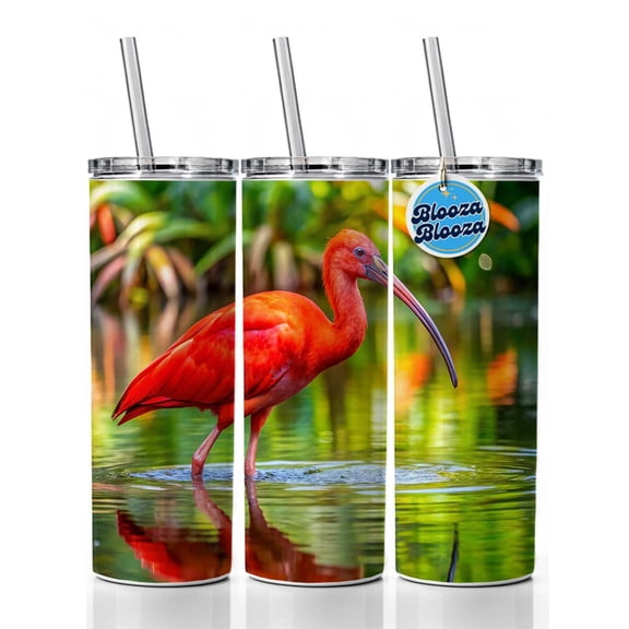 Scarlet Red Ibis Tropical Bird 20oz Insulated Water Bottle Skinny Tumbler Includes Straw