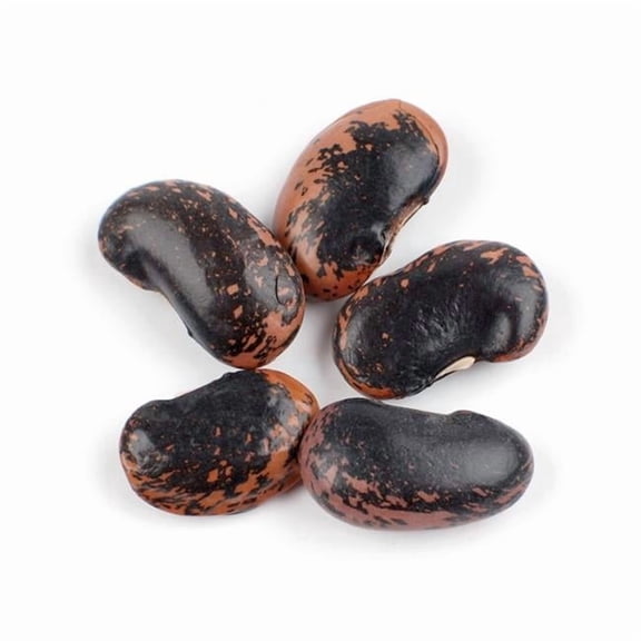 Scarlet Runner Beans, 25 Pound Bag