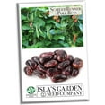 Scarlet Runner Pole Bean Seeds 25+ Heirloom NonGMO Seeds Phaseolus