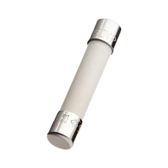 Scaroo WB27X10928 Microwave Fuse Fit For GE Replaces with 1262970 1-PACK